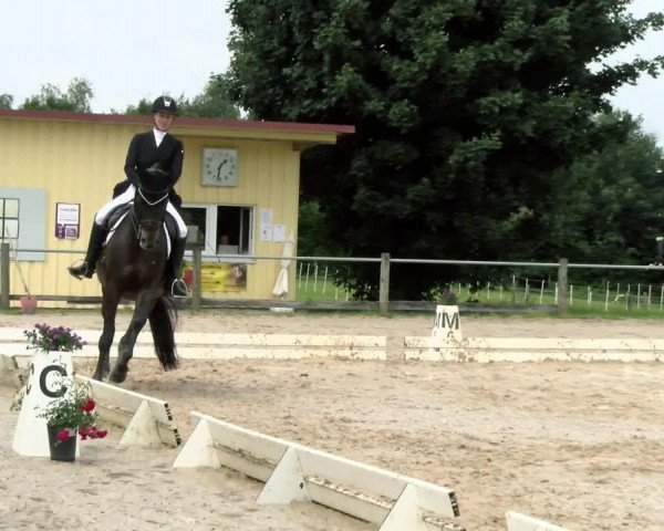 Reitturnier Biberach/Riß 2021