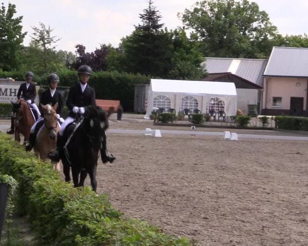 Pony- und Juniorenturnier Olfen 2021