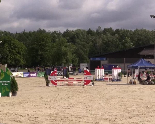 Pony- und Juniorenturnier Olfen 2021