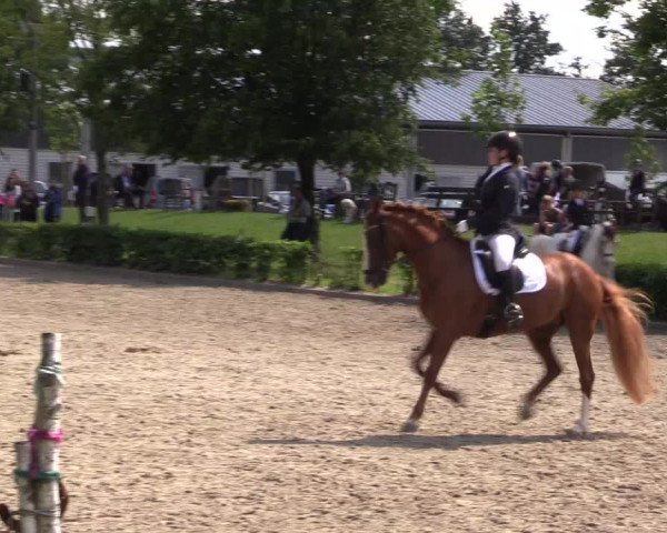 Pony- und Juniorenturnier Olfen 2021