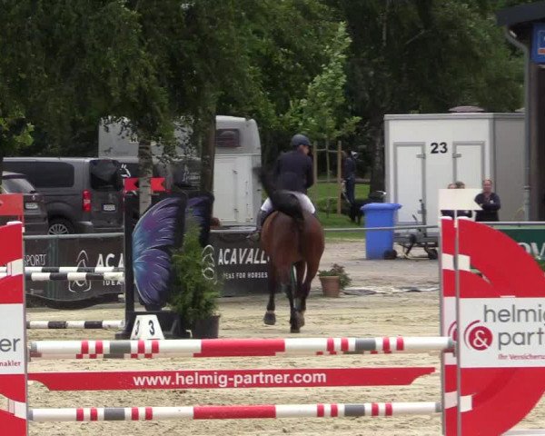 Pony- und Juniorenturnier Olfen 2021