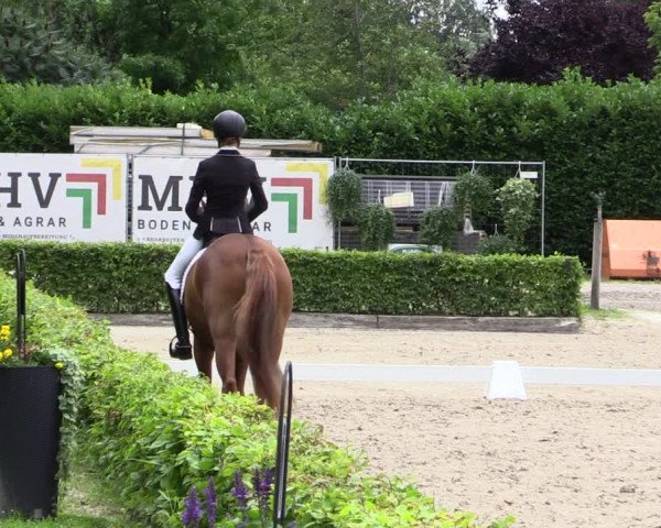 Pony- und Juniorenturnier Olfen 2021