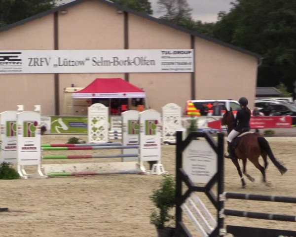 Pony- und Juniorenturnier Olfen 2021