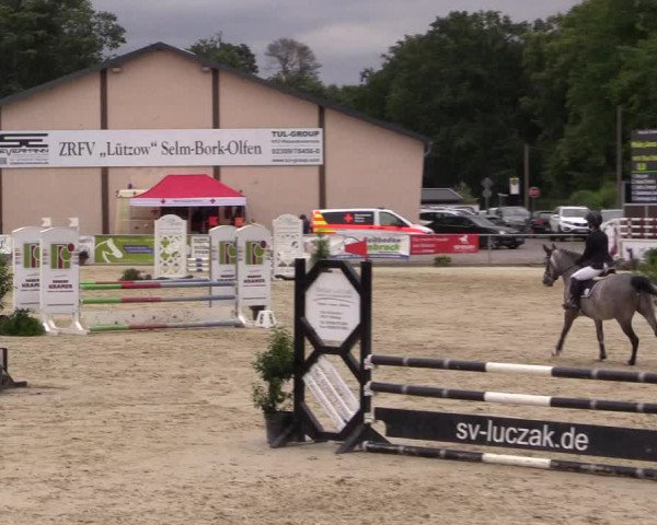 Pony- und Juniorenturnier Olfen 2021