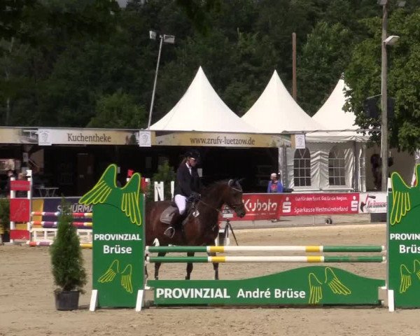 Pony- und Juniorenturnier Olfen 2021