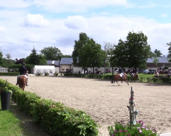 Pony- und Juniorenturnier Olfen 2021