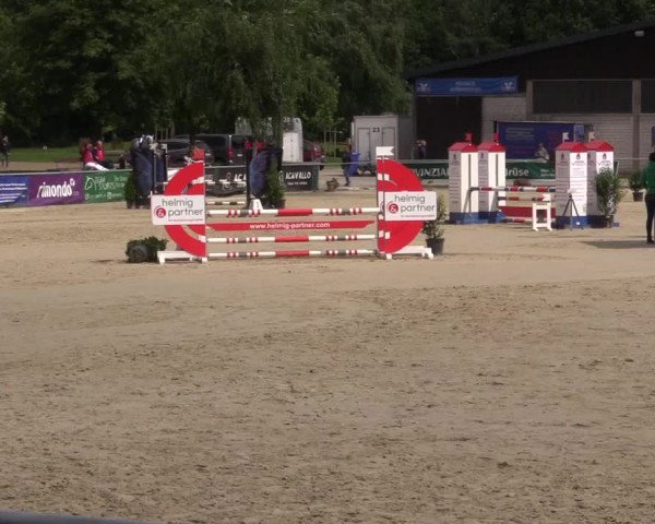Pony- und Juniorenturnier Olfen 2021
