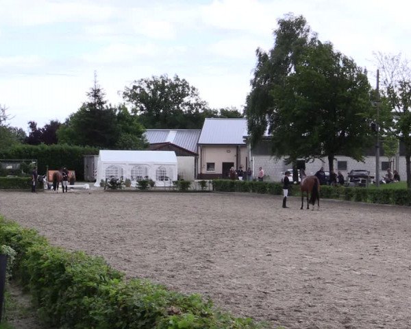 Pony- und Juniorenturnier Olfen 2021