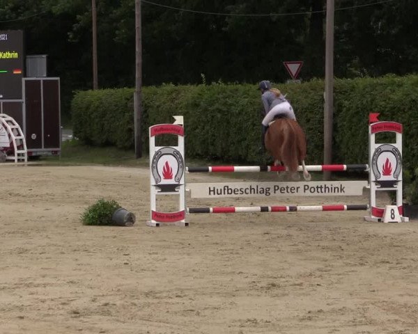 Pony- und Juniorenturnier Olfen 2021