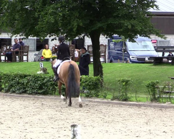 Pony- und Juniorenturnier Olfen 2021