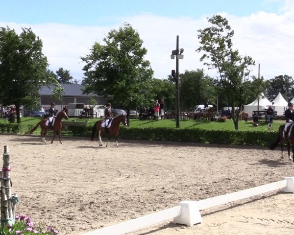 Pony- und Juniorenturnier Olfen 2021
