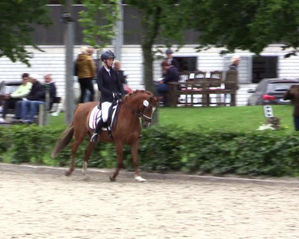 Pony- und Juniorenturnier Olfen 2021