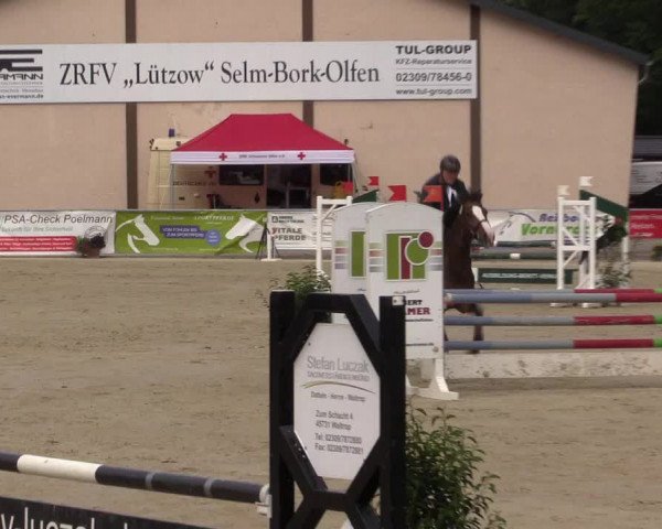 Pony- und Juniorenturnier Olfen 2021