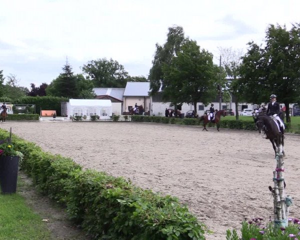 Pony- und Juniorenturnier Olfen 2021