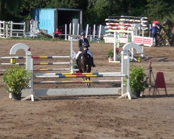 Reitturnier und Kreismeisterschaften Neuss-Uedesheim 2021