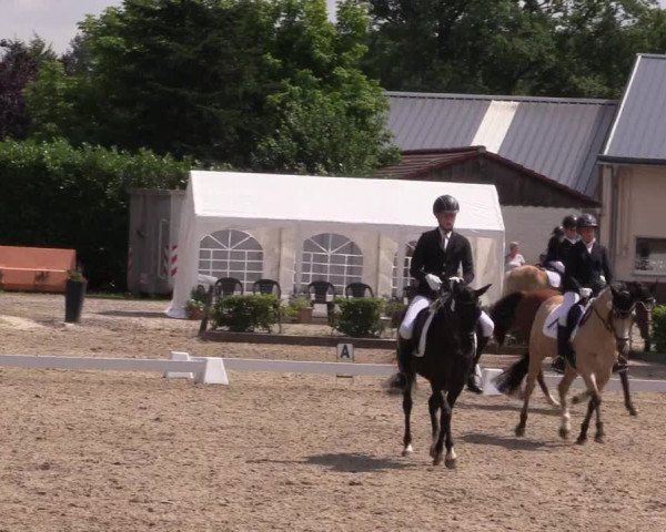 Pony- und Juniorenturnier Olfen 2021