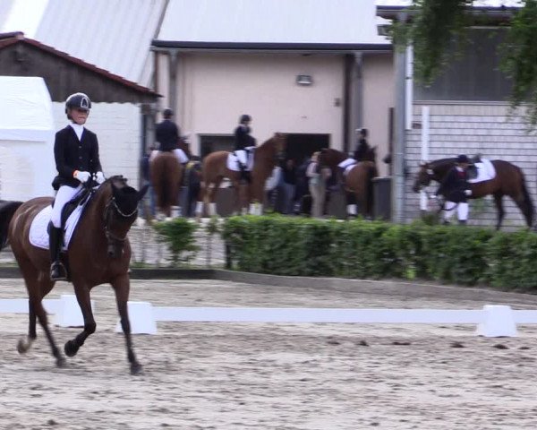 Pony- und Juniorenturnier Olfen 2021
