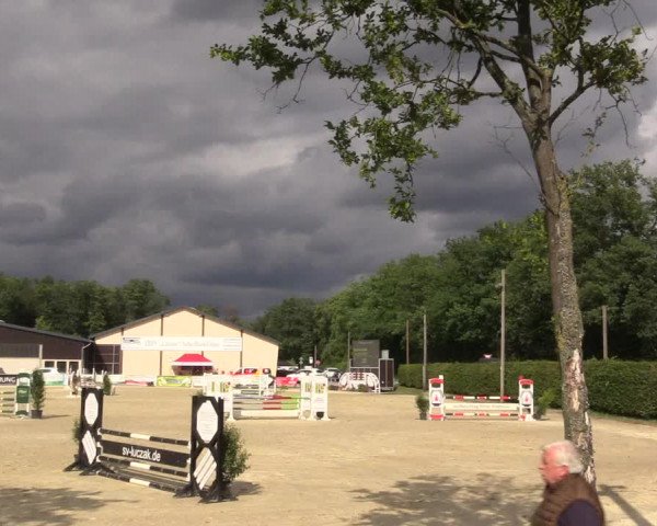 Pony- und Juniorenturnier Olfen 2021