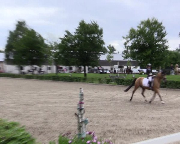 Pony- und Juniorenturnier Olfen 2021