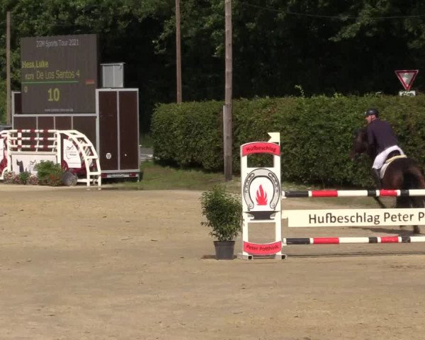Pony- und Juniorenturnier Olfen 2021