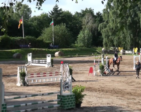 Reitturnier und Kreismeisterschaften Neuss-Uedesheim 2021