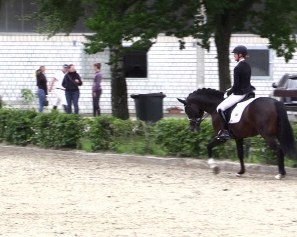 Pony- und Juniorenturnier Olfen 2021