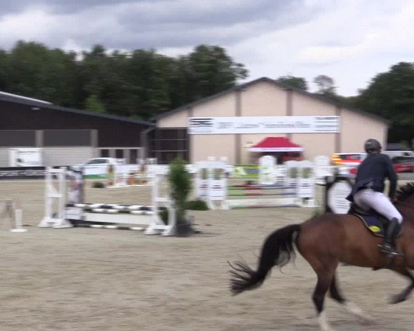 Pony- und Juniorenturnier Olfen 2021