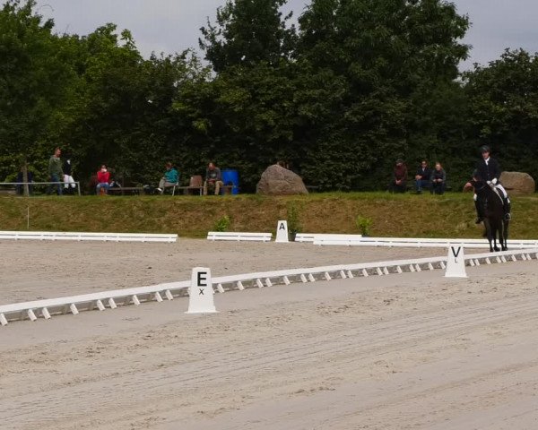 Dressurturnier Pietzpuhl 2021