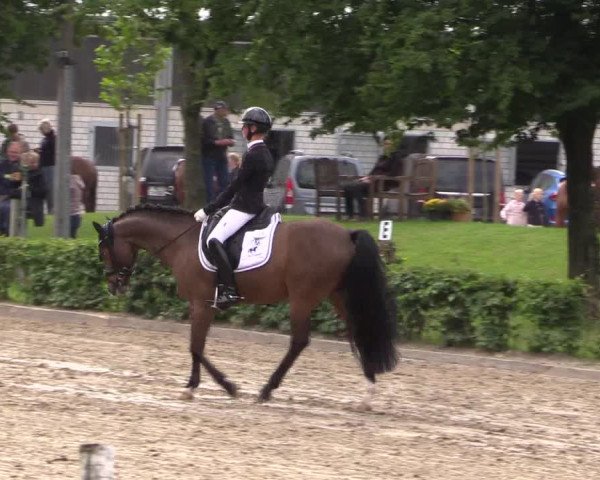 Pony- und Juniorenturnier Olfen 2021