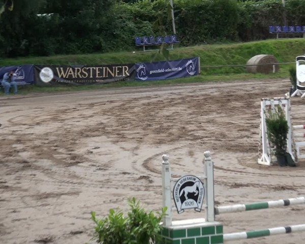 Reitturnier und Kreismeisterschaften Neuss-Uedesheim 2021