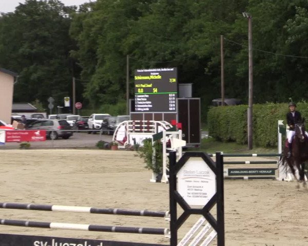 Pony- und Juniorenturnier Olfen 2021