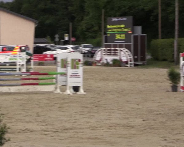 Pony- und Juniorenturnier Olfen 2021