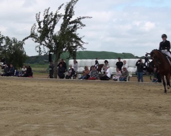 Reitturnier und Kreismeisterschaften Neuss-Uedesheim 2021