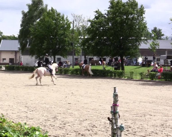 Pony- und Juniorenturnier Olfen 2021