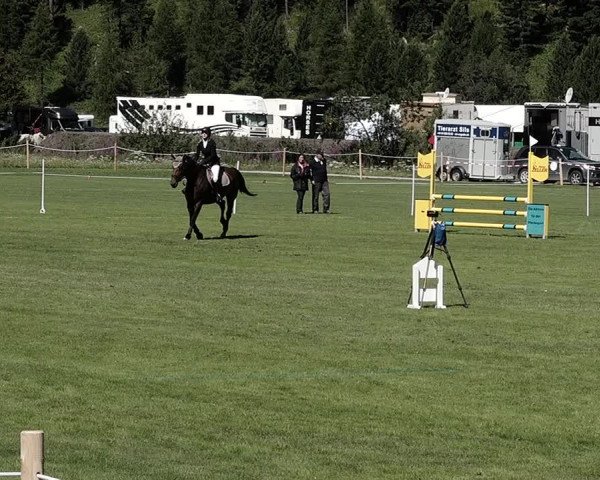 Sommer Concourse Hippique in St. Moritz 2021