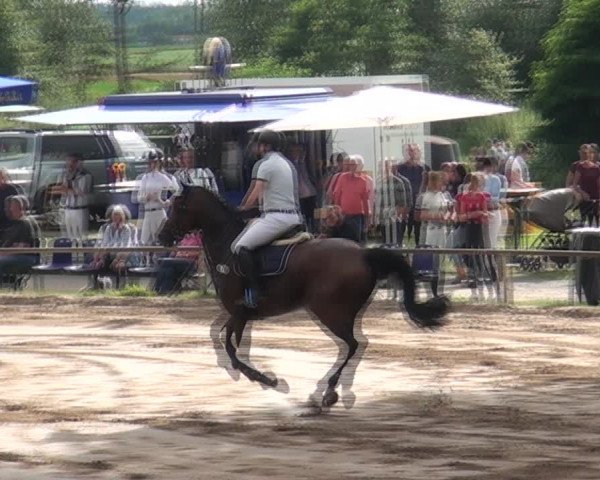 Reitturnier und Kreismeisterschaften Neuss-Uedesheim 2021