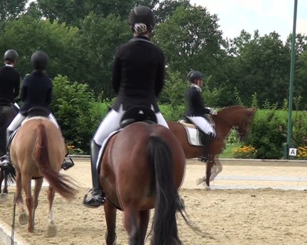 Reitturnier und Kreismeisterschaften Neuss-Uedesheim 2021