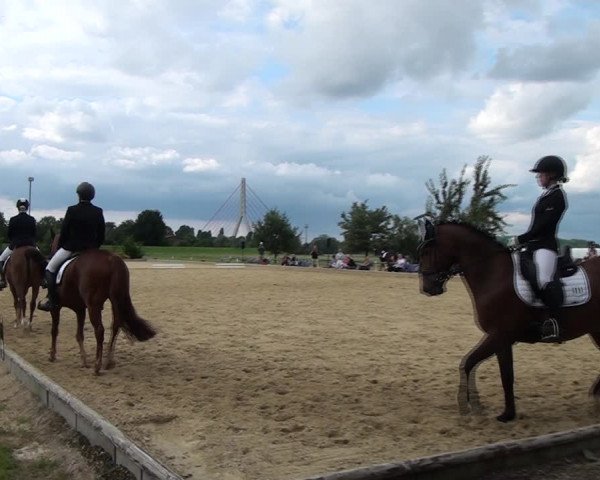 Reitturnier und Kreismeisterschaften Neuss-Uedesheim 2021