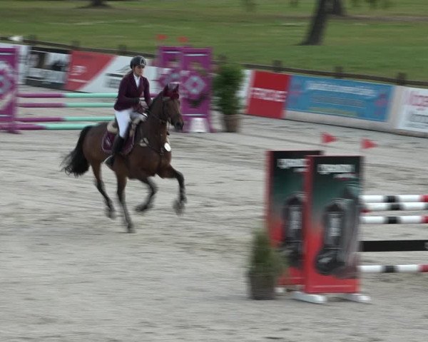 Reitturnier Westergellersen 2021
