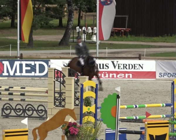 Reitturnier Westergellersen 2021