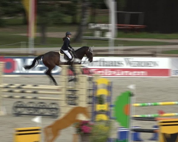 Reitturnier Westergellersen 2021