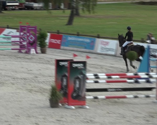 Reitturnier Westergellersen 2021