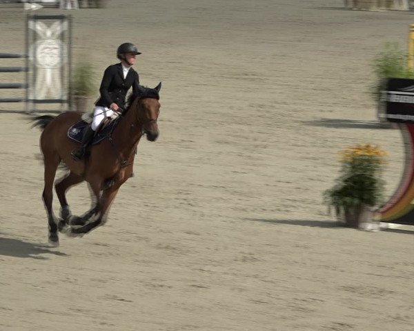 Reitturnier Westergellersen 2021