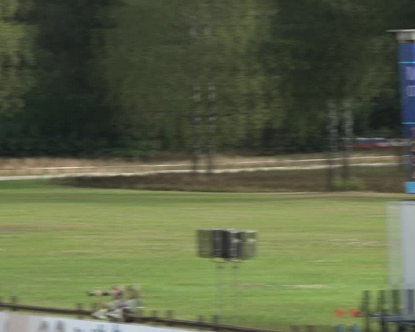 Reitturnier Westergellersen 2021