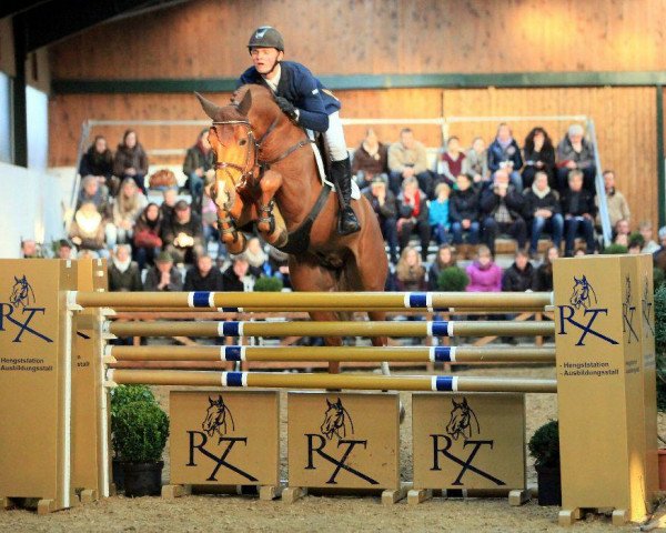 stallion Stakko (Hanoverian, 2006, from Stakkato)