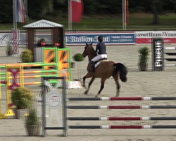 Reitturnier Westergellersen 2021