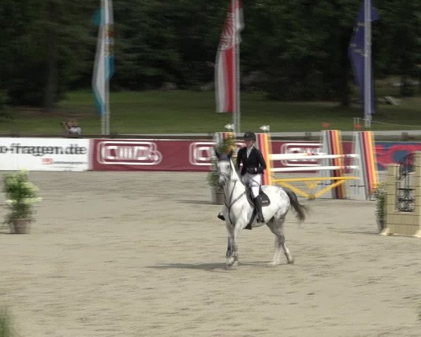 Reitturnier Westergellersen 2021