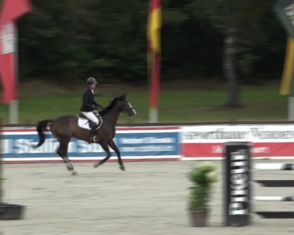 Reitturnier Westergellersen 2021