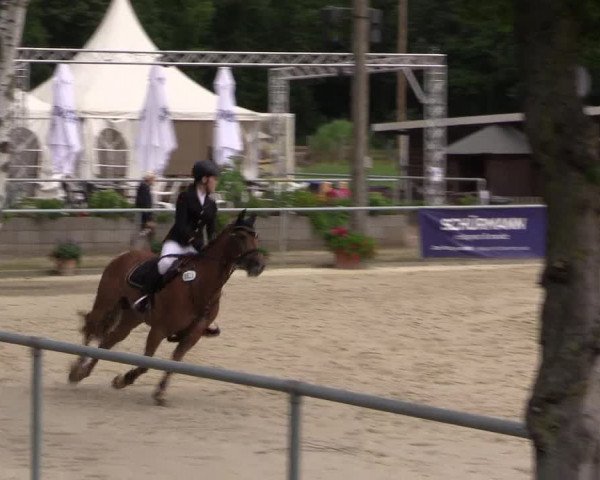 Pony- und Juniorenturnier Olfen 2021