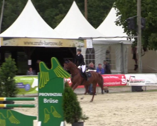 Pony- und Juniorenturnier Olfen 2021